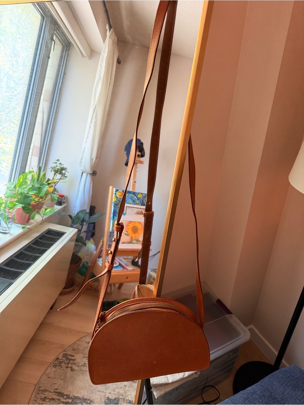 Madewell Brown Semi-Circle Leather Crossbody